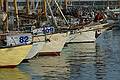 Imperia Vintage Sails Meeting