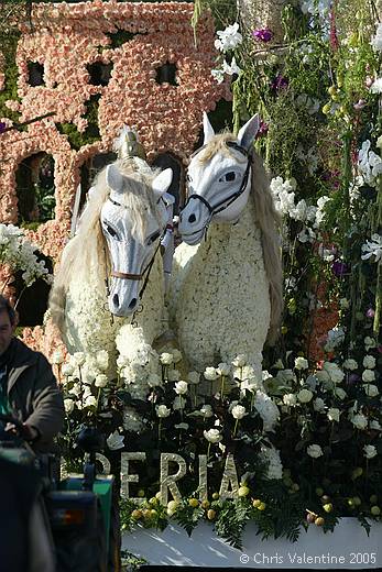 Sanremo flower festival - Sunday